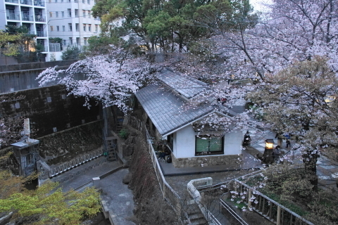 DSC04433.JPG