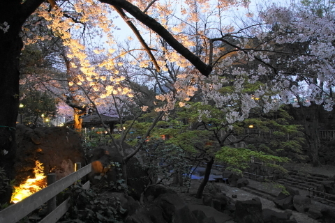 DSC04436.JPG