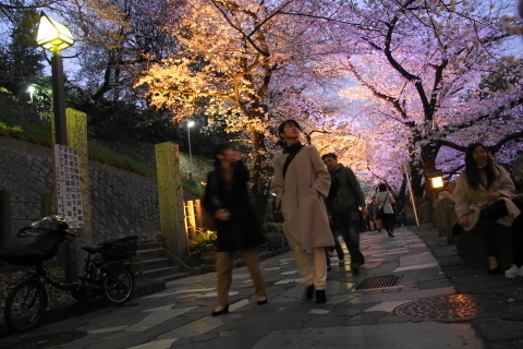 DSC04437.JPG