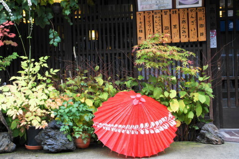 DSC04528.JPG