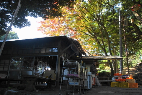 DSC04611ND.JPG