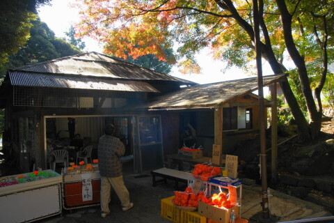 DSC04613NC.JPG