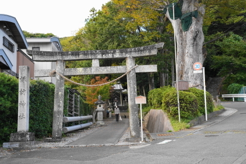 DSC04638.JPG