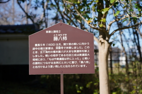 DSC04734N.JPG