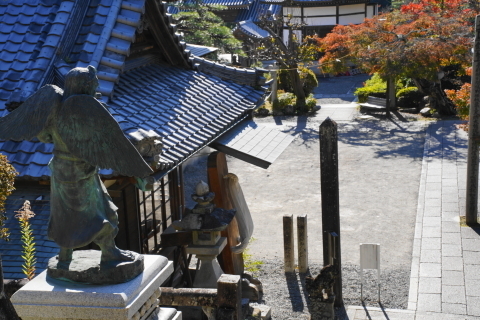 DSC04774.JPG