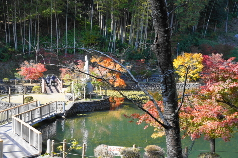 DSC04777.JPG