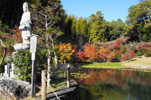 DSC04784.JPG