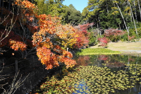 DSC04787.JPG