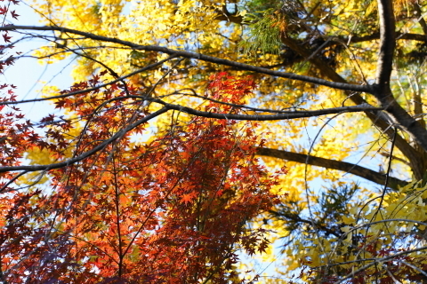DSC04789.JPG