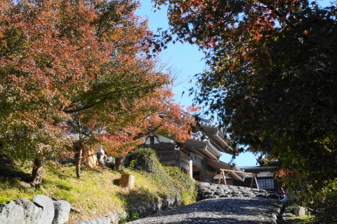 DSC04793.JPG