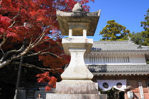 DSC04799.JPG