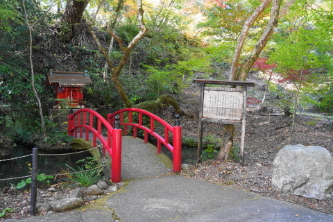 DSC04807.JPG