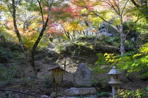 DSC04809.JPG