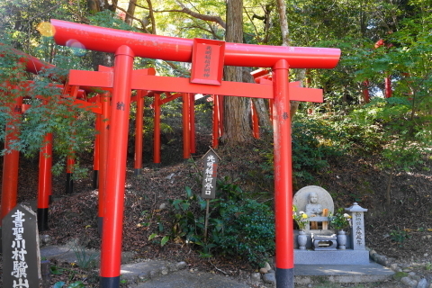 DSC04811.JPG