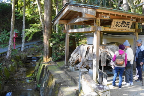 DSC04813.JPG