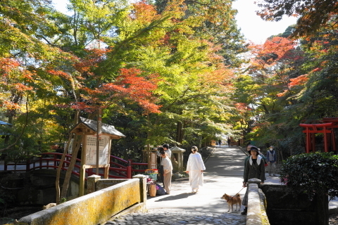 DSC04814.JPG
