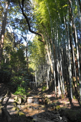 DSC04815.JPG