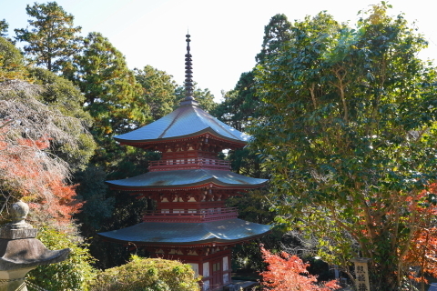 DSC04826.JPG