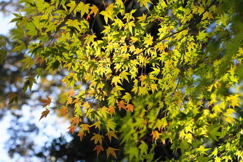 DSC04829.JPG