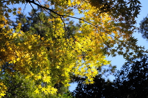 DSC04836.JPG