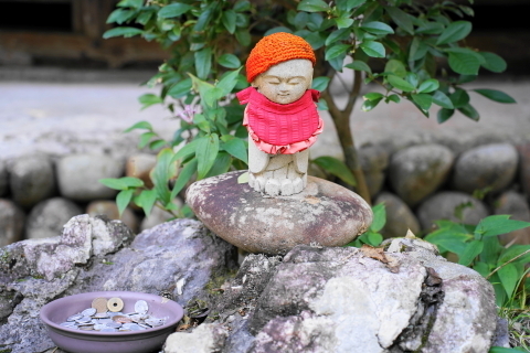 DSC04843.JPG