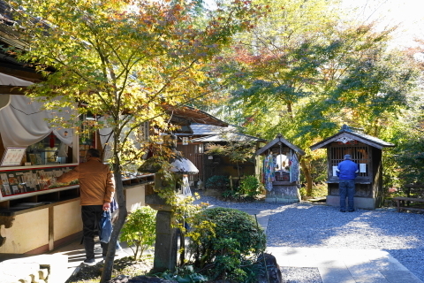 DSC04844.JPG