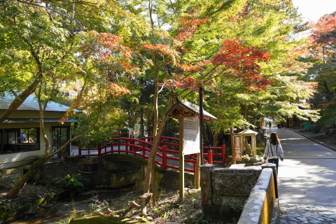 DSC04850.JPG