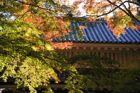 DSC04852.JPG