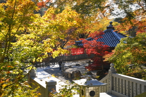 DSC04882.JPG