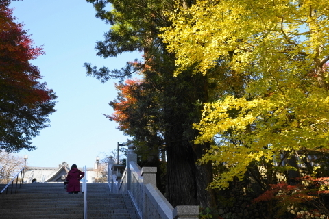 DSC04884.JPG