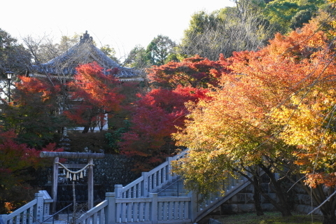 DSC04885.JPG