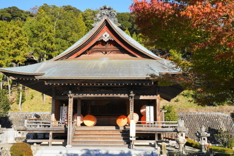 DSC04887.JPG