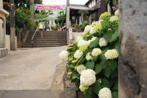 DSC04892.JPG
