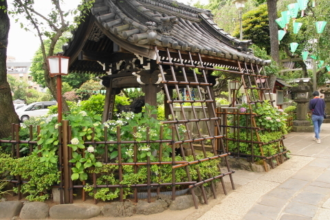 DSC04893.JPG