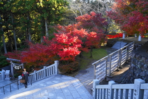 DSC04894.JPG