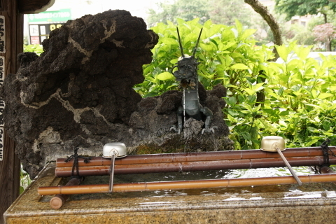 DSC04895.JPG