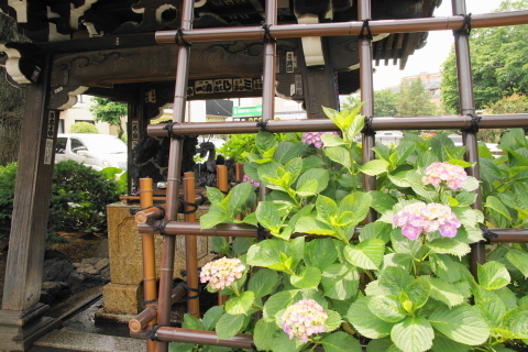 DSC04896.JPG
