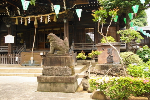 DSC04899.JPG