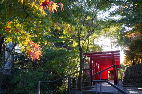 DSC04900.JPG