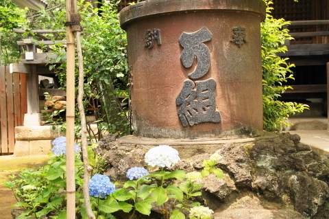DSC04902.JPG