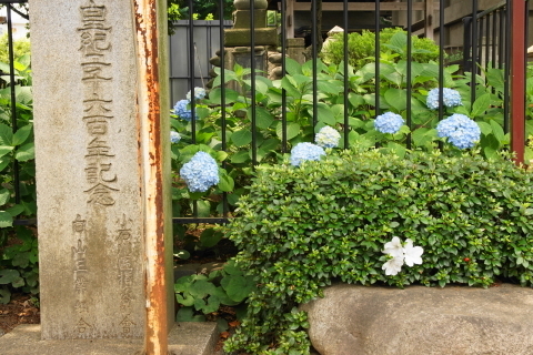 DSC04906.JPG
