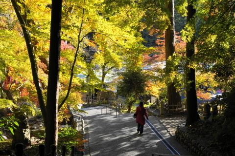 DSC04908.JPG