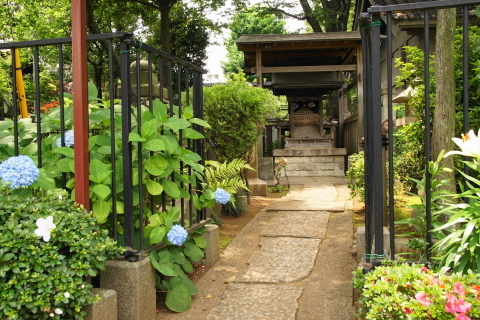 DSC04908.JPG