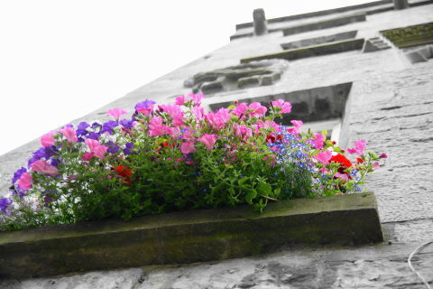 DSC04993.JPG