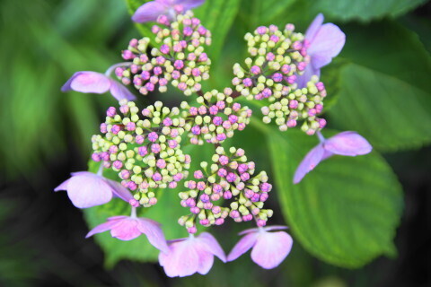 DSC05047.JPG