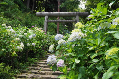 DSC05050.JPG