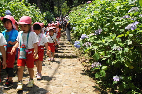 DSC05058.JPG