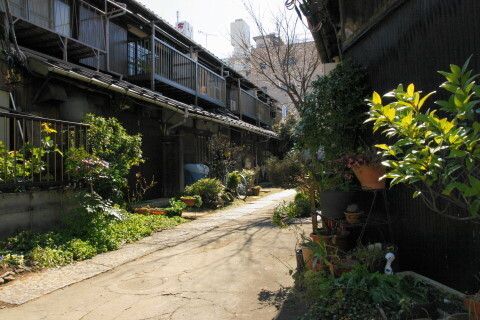 DSC05088.JPG
