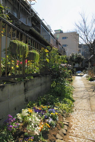 DSC05090.JPG