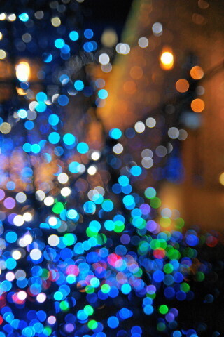 DSC05152ND.JPG